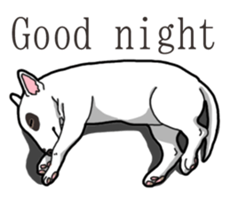 Daily Bull terrier sticker #13584849