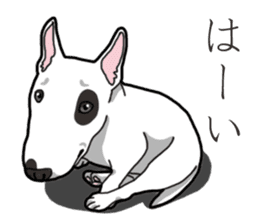 Daily Bull terrier sticker #13584850
