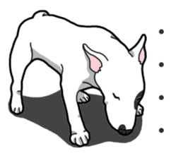 Daily Bull terrier sticker #13584851