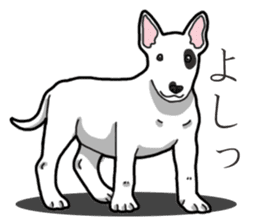 Daily Bull terrier sticker #13584852