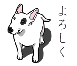 Daily Bull terrier sticker #13584853