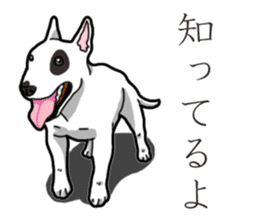 Daily Bull terrier sticker #13584854