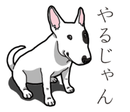 Daily Bull terrier sticker #13584857