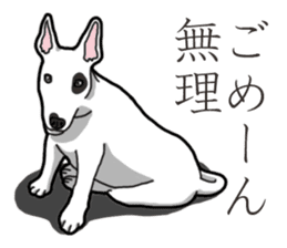 Daily Bull terrier sticker #13584858