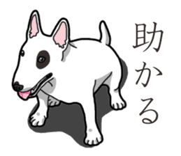 Daily Bull terrier sticker #13584859