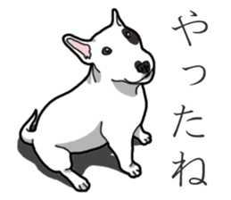Daily Bull terrier sticker #13584860