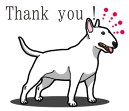 Daily Bull terrier sticker #13584861