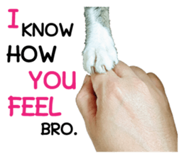 Meow! I am a Cat sticker #13585146