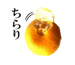 The photos orange sticker #13586798