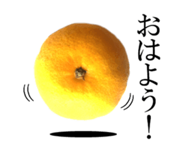 The photos orange sticker #13586801