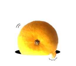 The photos orange sticker #13586802