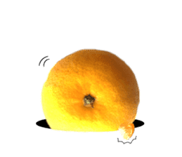 The photos orange sticker #13586802