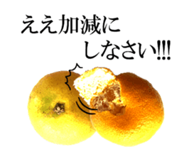 The photos orange sticker #13586803