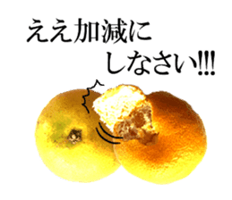 The photos orange sticker #13586803