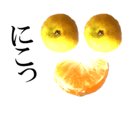 The photos orange sticker #13586804