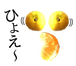 The photos orange sticker #13586806