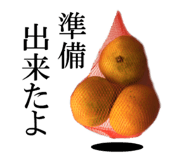 The photos orange sticker #13586808