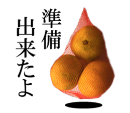 The photos orange sticker #13586808