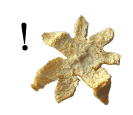 The photos orange sticker #13586809