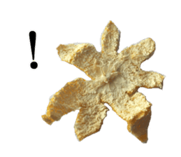 The photos orange sticker #13586809