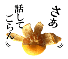 The photos orange sticker #13586810