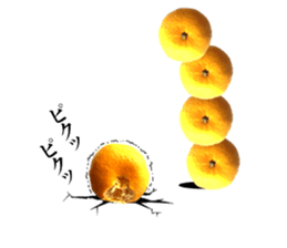 The photos orange sticker #13586817