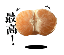 The photos orange sticker #13586822