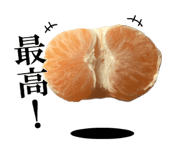 The photos orange sticker #13586822