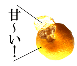 The photos orange sticker #13586823