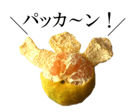 The photos orange sticker #13586825