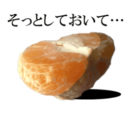 The photos orange sticker #13586827