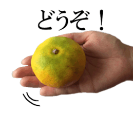 The photos orange sticker #13586828