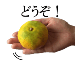 The photos orange sticker #13586828