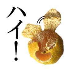 The photos orange sticker #13586829