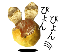 The photos orange sticker #13586830