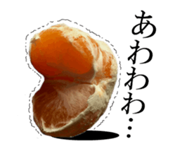 The photos orange sticker #13586831