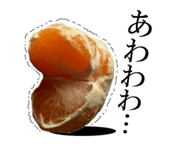 The photos orange sticker #13586831