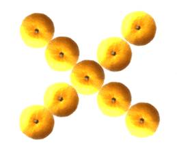 The photos orange sticker #13586833