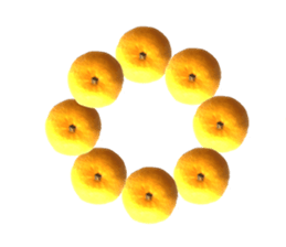 The photos orange sticker #13586834