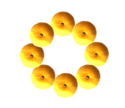 The photos orange sticker #13586834