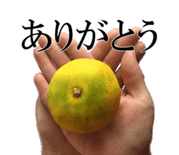 The photos orange sticker #13586835