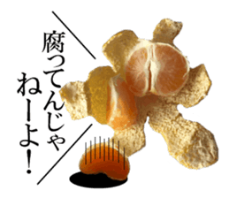 The photos orange sticker #13586837