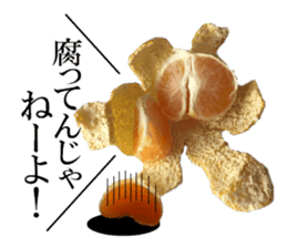 The photos orange sticker #13586837