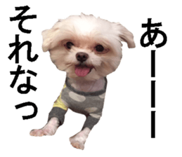 wanko senpai sticker #13587667