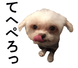 wanko senpai sticker #13587680