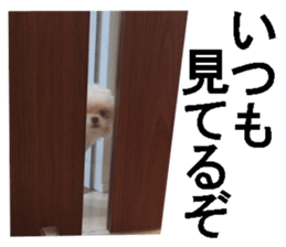 wanko senpai sticker #13587690