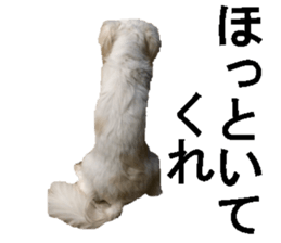 wanko senpai sticker #13587692