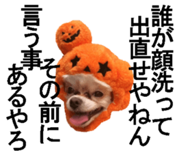 wanko senpai sticker #13587693