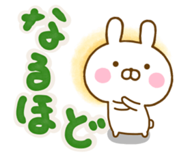 Rabbit Usahina L size sticker #13588150