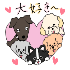 cute five dogs